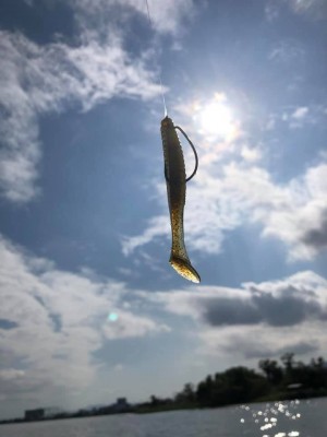 hideup 永野総一朗 ブログ写真 2019/10/07