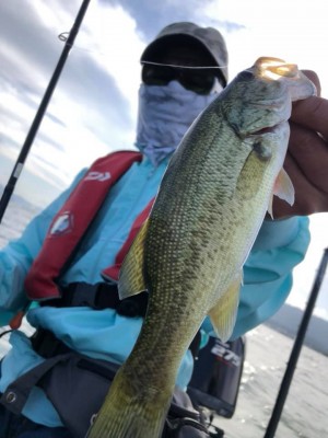 hideup 永野総一朗 ブログ写真 2019/10/07