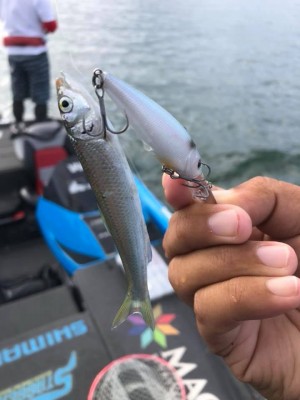 hideup 永野総一朗 ブログ写真 2019/10/07