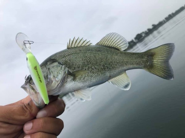 hideup 永野総一朗 ブログ写真 2019/10/08