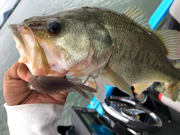 hideup 永野総一朗 ブログ写真 2019/10/08