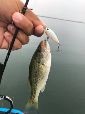 hideup 永野総一朗 ブログ写真 2019/10/08