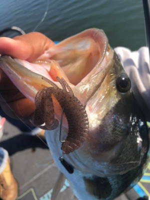 hideup 永野総一朗 ブログ写真 2019/10/11