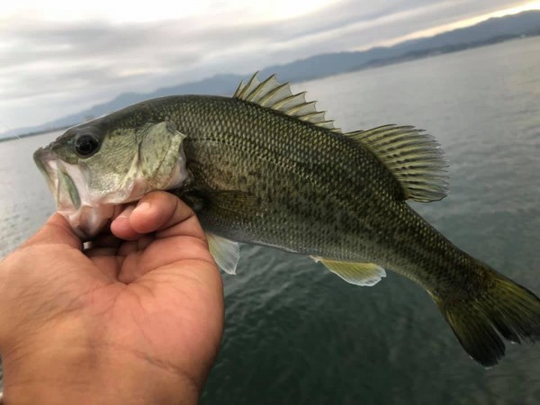 hideup 永野総一朗 ブログ写真 2019/10/11