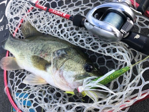 hideup 永野総一朗 ブログ写真 2019/10/11