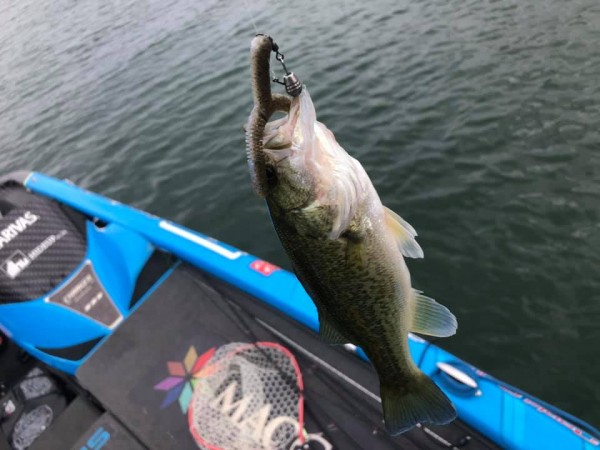 hideup 永野総一朗 ブログ写真 2019/10/12