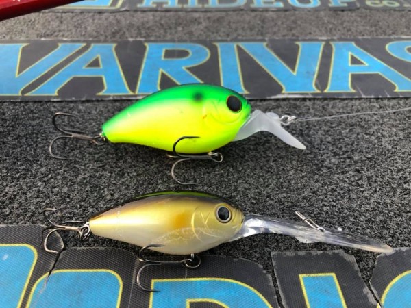 hideup 永野総一朗 ブログ写真 2019/10/17