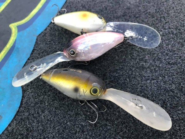 hideup 永野総一朗 ブログ写真 2019/10/17