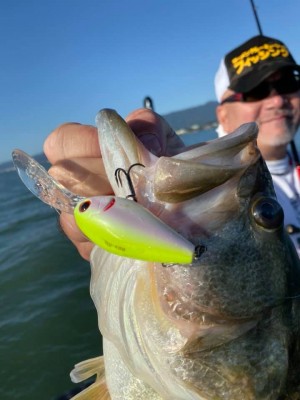 hideup 永野総一朗 ブログ写真 2019/10/17