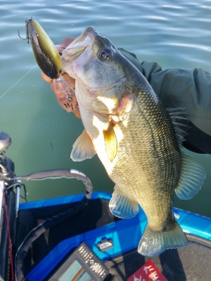 hideup 永野総一朗 ブログ写真 2019/10/18