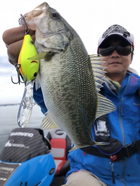 hideup 永野総一朗 ブログ写真 2019/10/18