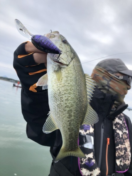 hideup 永野総一朗 ブログ写真 2019/10/18