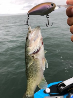 hideup 永野総一朗 ブログ写真 2019/10/18