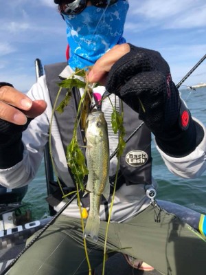 hideup 永野総一朗 ブログ写真 2019/10/20