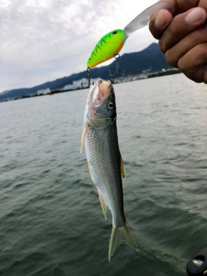 hideup 永野総一朗 ブログ写真 2019/10/20