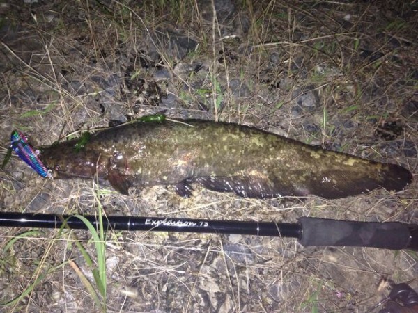 hideup 乃村弘栄 ブログ写真 2015/07/01