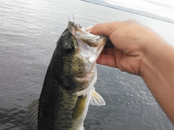 hideup 乃村弘栄 ブログ写真 2014/08/04