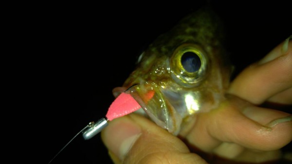 hideup 乃村弘栄 ブログ写真 2016/03/01