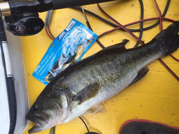 hideup 乃村弘栄 ブログ写真 2016/07/02