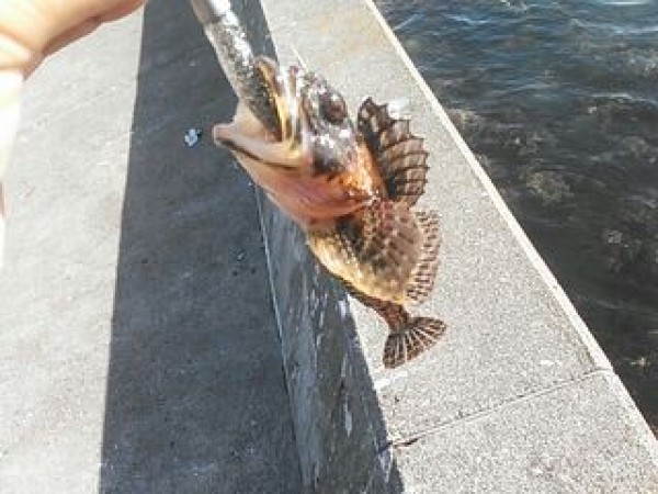 hideup 乃村弘栄 ブログ写真 2014/11/14