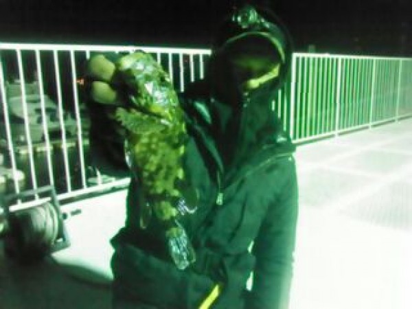 hideup 乃村弘栄 ブログ写真 2014/12/03