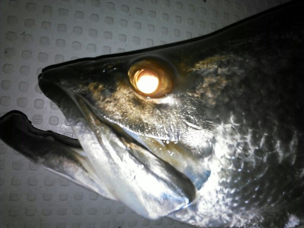 hideup 乃村弘栄 ブログ写真 2015/06/05