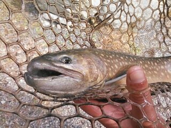 hideup 乃村弘栄 ブログ写真 2014/11/08