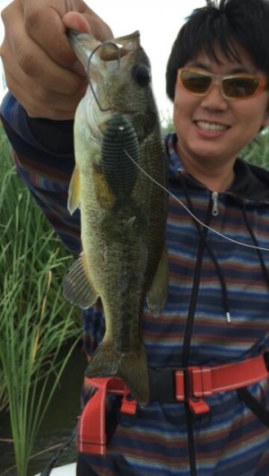 hideup 乃村弘栄 ブログ写真 2015/06/07