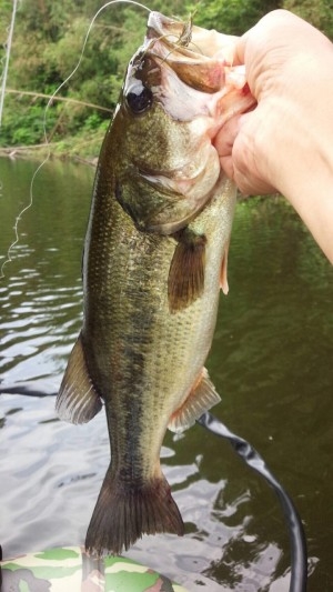 hideup 乃村弘栄 ブログ写真 2016/07/02