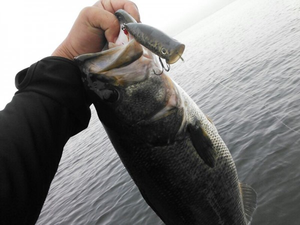 hideup 乃村弘栄 ブログ写真 2015/07/08