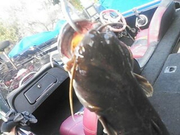 hideup 乃村弘栄 ブログ写真 2014/11/04