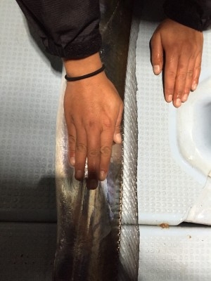 hideup 乃村弘栄 ブログ写真 2015/12/03