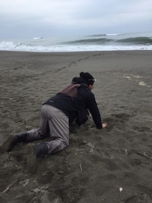 hideup 乃村弘栄 ブログ写真 2016/01/07