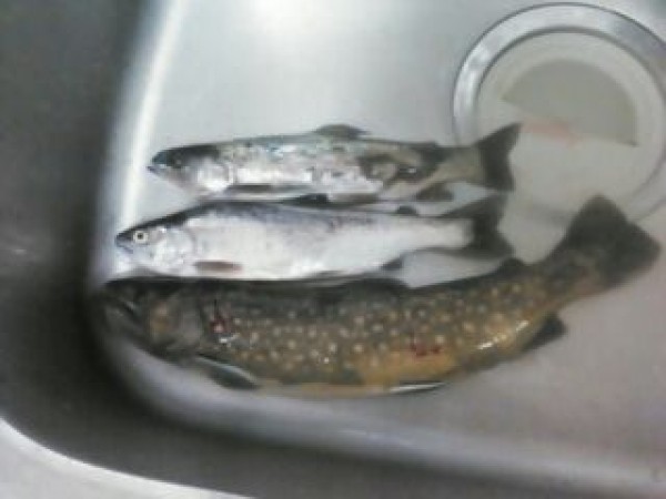 hideup 乃村弘栄 ブログ写真 2014/11/08