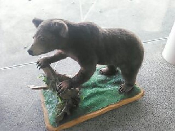 hideup 乃村弘栄 ブログ写真 2014/11/14