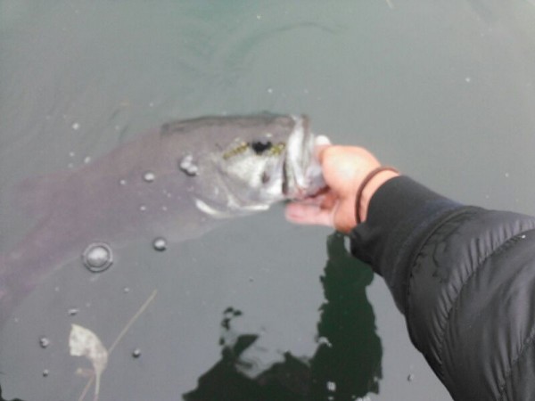 hideup 乃村弘栄 ブログ写真 2015/05/10