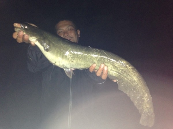 hideup 乃村弘栄 ブログ写真 2015/07/01