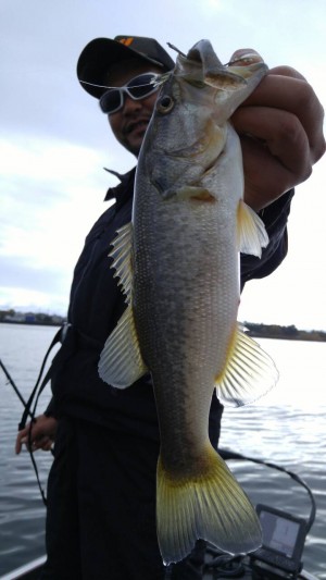 hideup 乃村弘栄 ブログ写真 2015/11/11