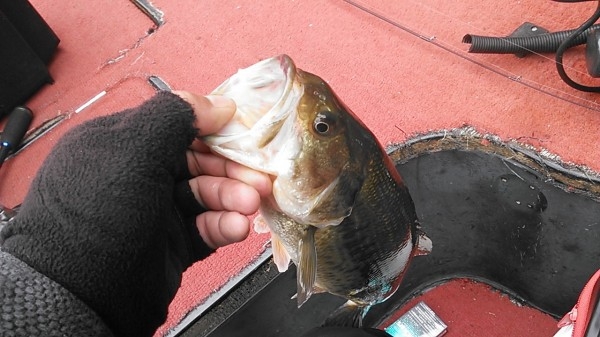 hideup 乃村弘栄 ブログ写真 2016/03/16