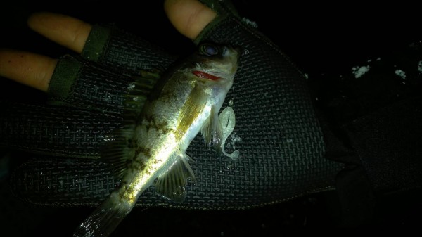 hideup 乃村弘栄 ブログ写真 2016/02/16