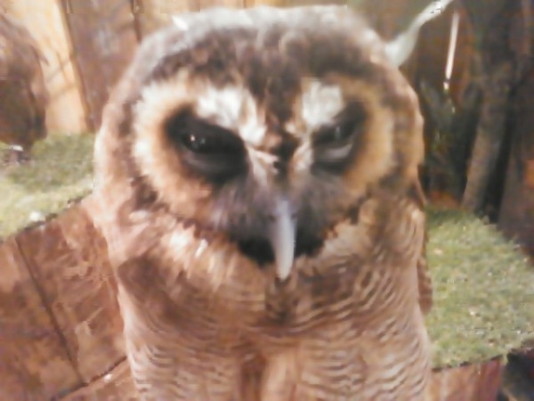 hideup 乃村弘栄 ブログ写真 2015/09/09