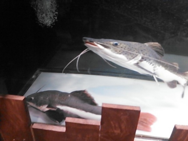 hideup 乃村弘栄 ブログ写真 2015/09/09