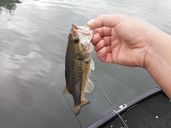 hideup 乃村弘栄 ブログ写真 2014/09/06