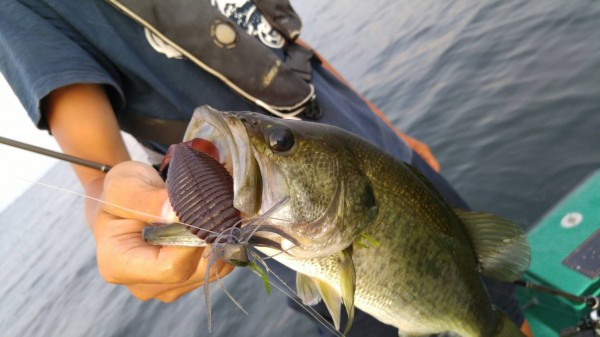 hideup 乃村弘栄 ブログ写真 2016/08/05