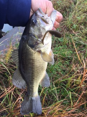 hideup 乃村弘栄 ブログ写真 2015/12/04