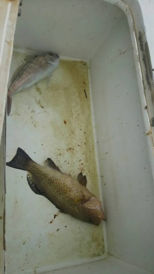 hideup 乃村弘栄 ブログ写真 2016/02/04