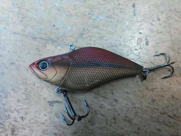 hideup 乃村弘栄 ブログ写真 2015/03/19