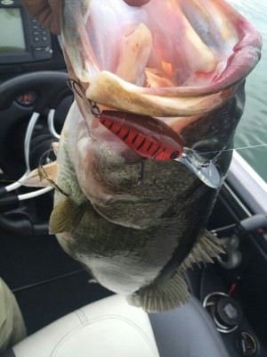 hideup 乃村弘栄 ブログ写真 2015/03/09