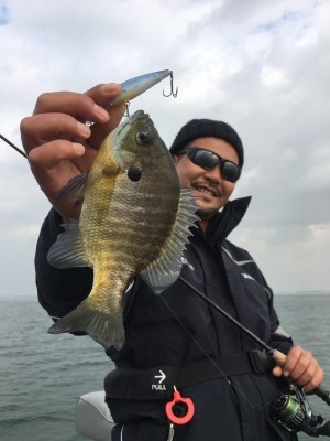 hideup 乃村弘栄 ブログ写真 2017/12/07