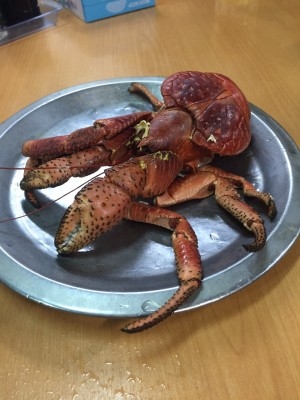 hideup 乃村弘栄 ブログ写真 2015/12/02